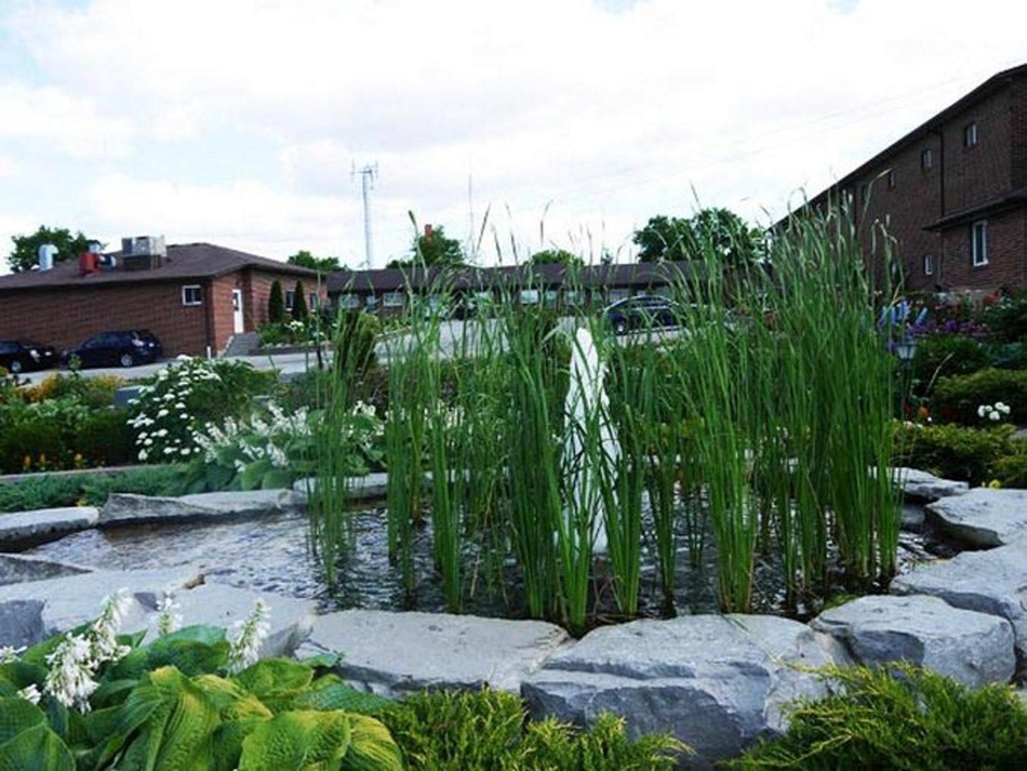 Newmarket Inn ภายนอก รูปภาพ